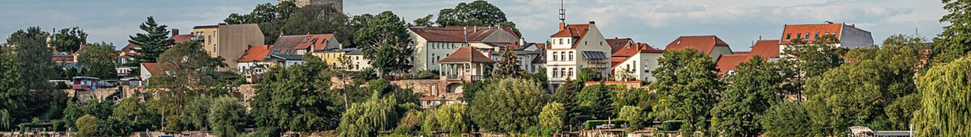 Страусберг : оренда приватного літака