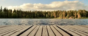 Свег : оренда приватного літака
