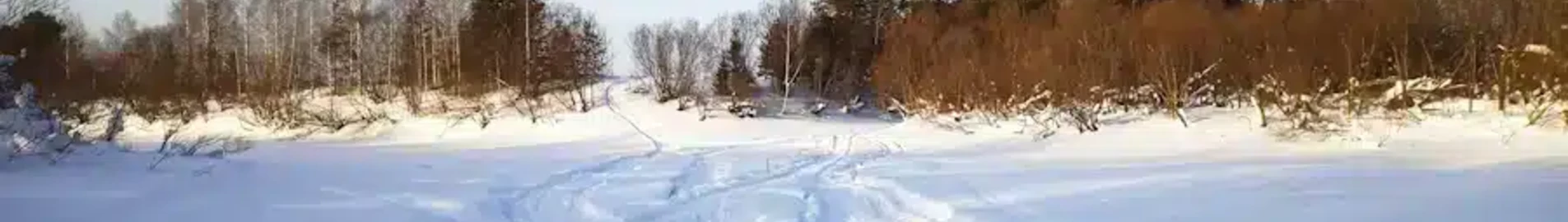 Сиктивкар : оренда приватного літака