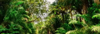 Moldavie :Location de jet privé