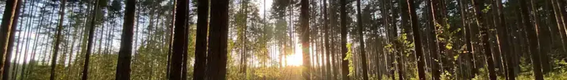 Тверь-Мігалово: оренда приватного літака