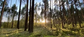 Воронеж Чертовицьке : оренда приватного літака