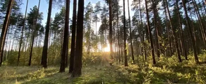 Тверь-Мігалово: оренда приватного літака