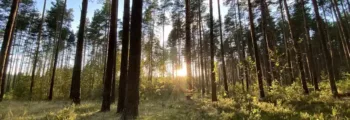 Varese Venegono : location de jet privé