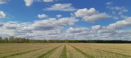 Ульяновськ Східний : оренда приватного літака