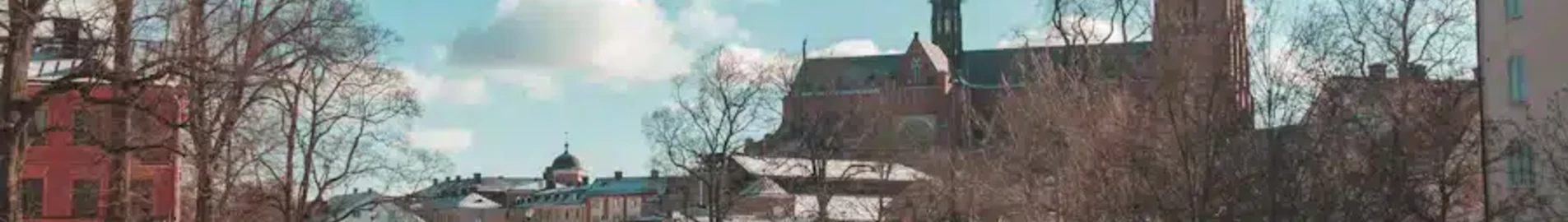 Упсала : оренда приватного літака