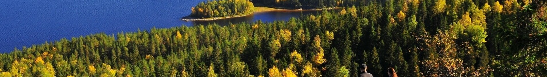 Варкаус : оренда приватних літаків 