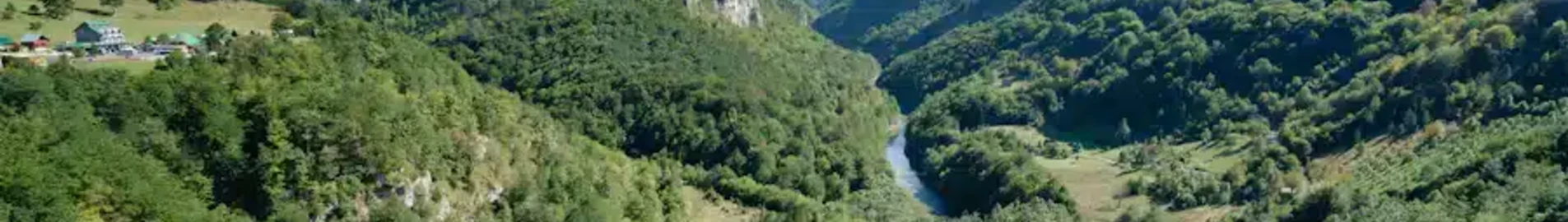 Жабляк : оренда приватного літака