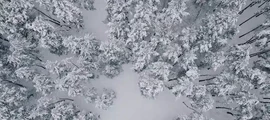 Донецьк: оренда приватного літака