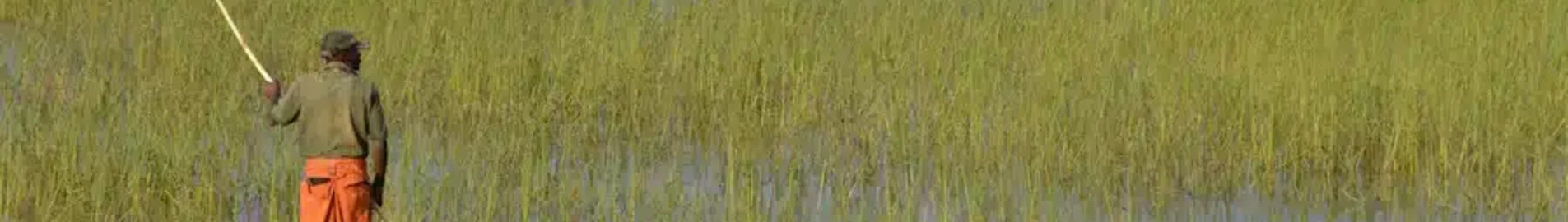 Лузамба : оренда приватного літака