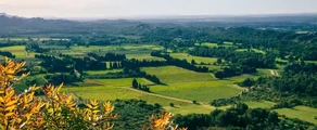 Обенас Вальс Ланас : оренда приватних літаків
