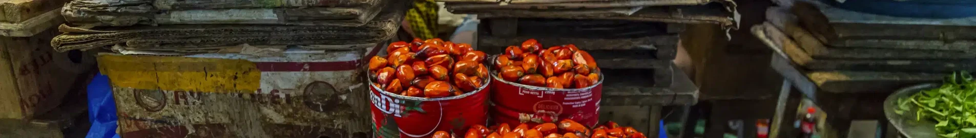 Корого : оренда приватного літака
