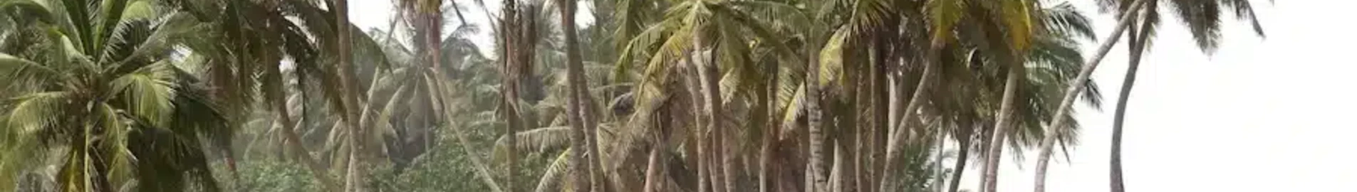 Wa : оренда приватного літака
