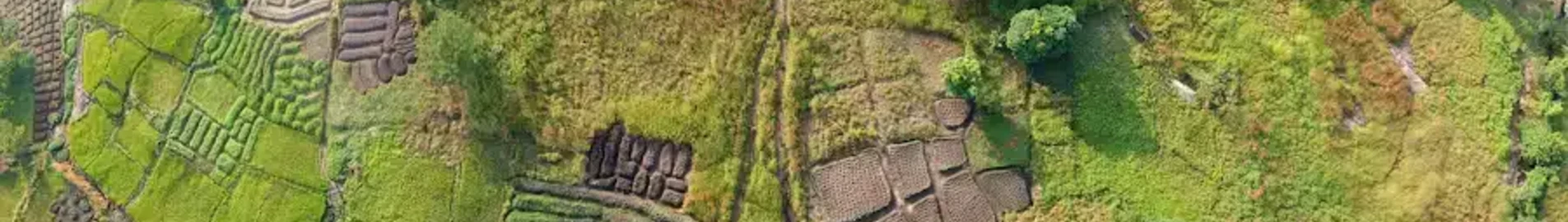 Малабо : оренда приватних літаків