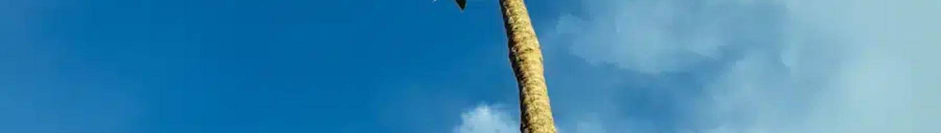 Kinshasa Ndjili Intl : оренда приватних літаків