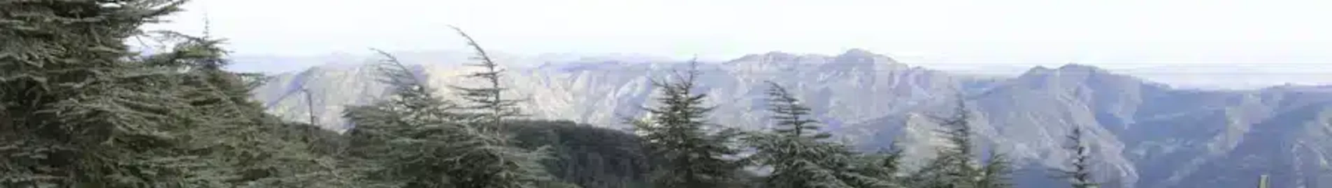 Бліда: оренда приватного літака