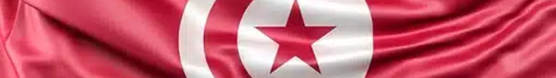 Репатріація в Туніс: процедури, ціни та індивідуальні рішення