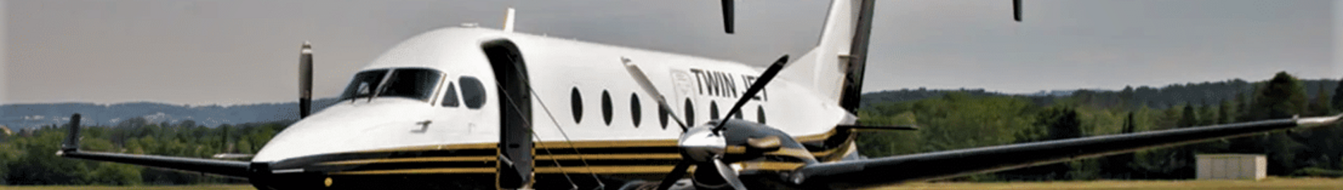 Twin Jet : авіакомпанія