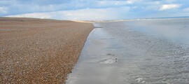 Престон Уортон: оренда приватного літака 