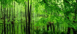 Зонгулдак: оренда приватного літака