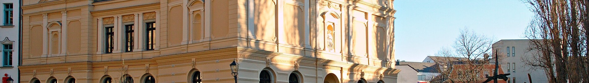 Оренда приватних літаків в Райнсдорфі 