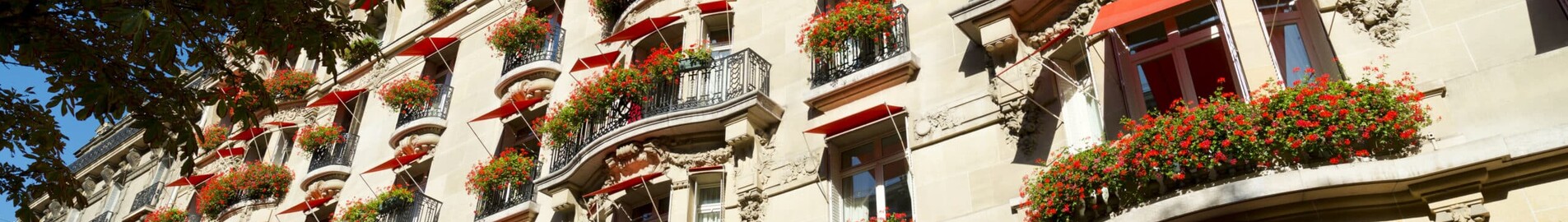 Розкішний готель у Парижі: відпочинок мрії в Hôtel Plaza Athénée