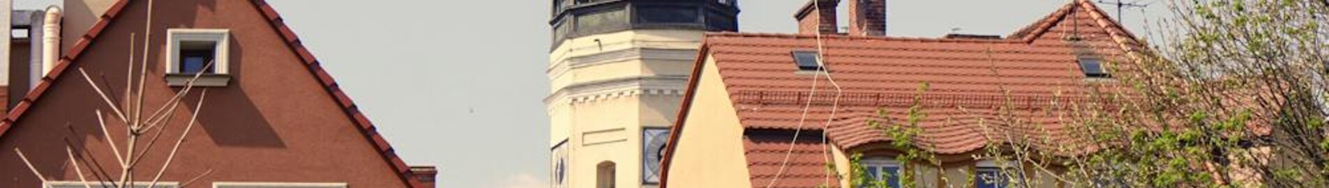 Зелена Гора Бабімост: оренда приватного літака