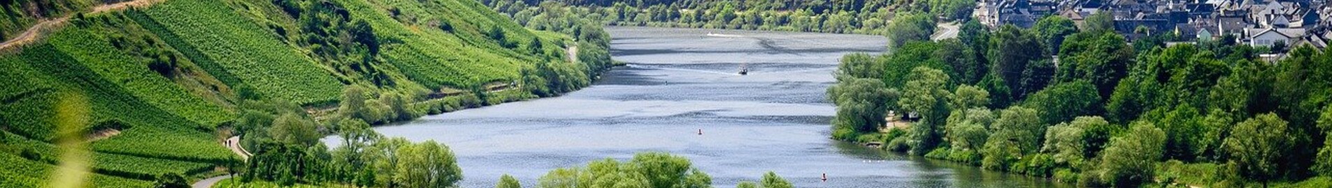 Європейські виноградники для відвідування на приватному літаку