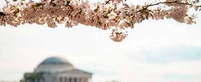 Лас-Вегас - Вашингтон : оренда приватного літака