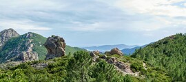 Сен-Моріц - Монако : оренда приватного літака
