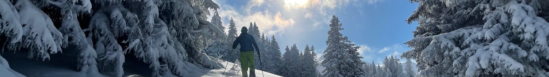 Гірськолижні напрямки, доступні на приватному літаку
